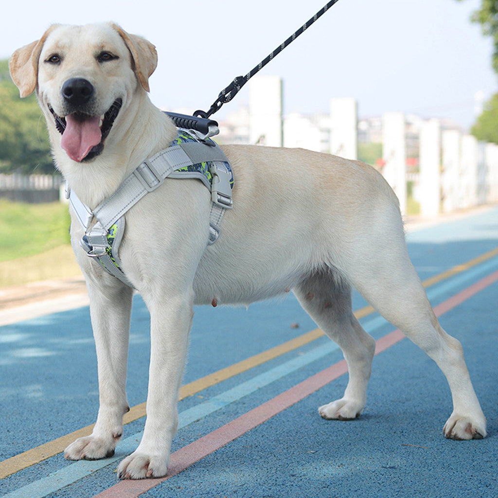 Qpets Dog Vest Dog Harness Guide Dog Harness with Pulls Guide Dog Harness with Quick Release Buckle Adjustable Size Dog Belt for Large Medium Dogs (XL, Reserve 2 Inch Space)