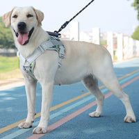 Qpets Dog Vest Dog Harness Guide Dog Harness with Pulls Guide Dog Harness with Quick Release Buckle Adjustable Size Dog Belt for Large Medium Dogs (XL, Reserve 2 Inch Space)