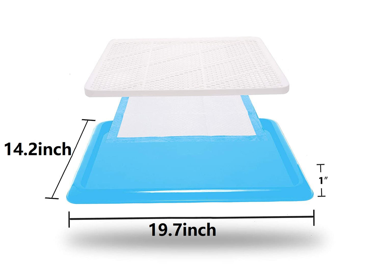 Qpets 19.7x14.2inch Pee Pads for Dogs, Dog Potty Tray, Puppy Pee Pad Holder, Plastic Dog Pet Potty Indoor Training Toilet for Small Dogs, Keep Paws Dry and Floor Clean (Blue)