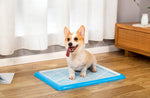 Qpets 19.7x14.2inch Pee Pads for Dogs, Dog Potty Tray, Puppy Pee Pad Holder, Plastic Dog Pet Potty Indoor Training Toilet for Small Dogs, Keep Paws Dry and Floor Clean (Blue)