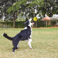 Qpets 3 inch Durable Bouncy Dog Ball for Small Medium Big Dog, High Elasticity TPU Toys for Dogs, Lightweight+ High Bounce Interactive Dog Toys, Molar Chew Ball for Power Chewer